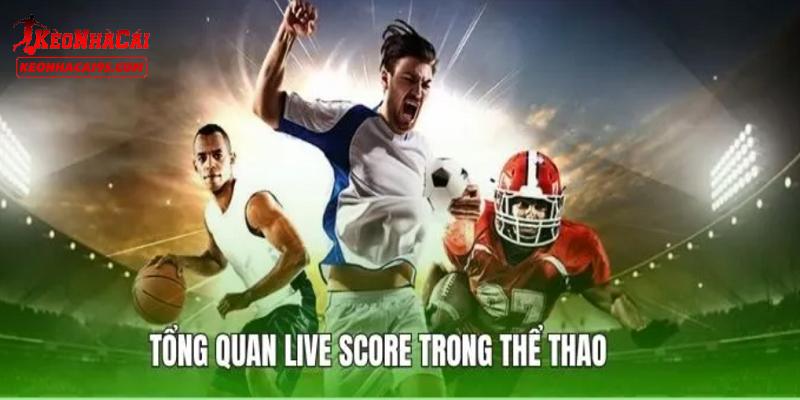 Một số sản phẩm được cung cấp tại Live Score kèo nhà cái