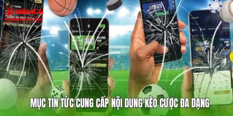 Những nội dung có trong mục tin tức