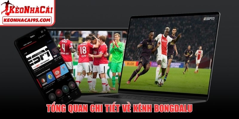 Tổng quan chi tiết về kênh Bongdalu
