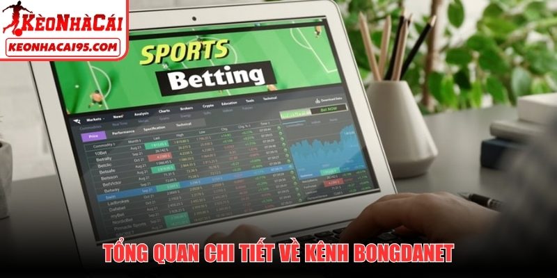 Tổng quan chi tiết về kênh Bongdanet