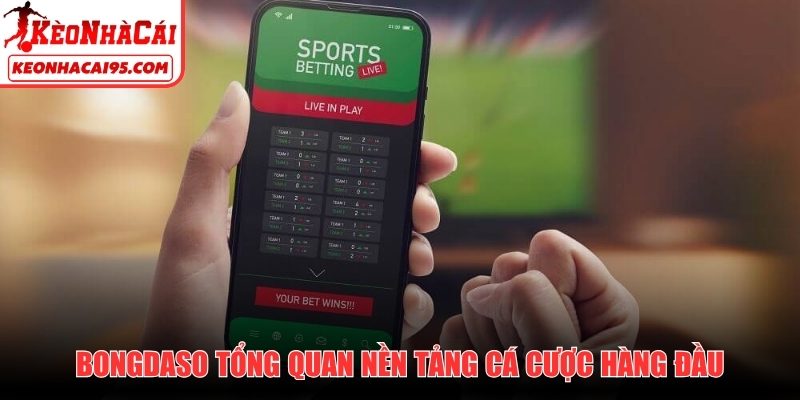 Bongdaso là gì? Tổng quan nền tảng