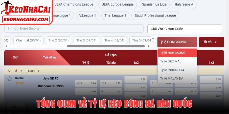 Tổng quan về tỷ lệ kèo bóng đá Hàn Quốc
