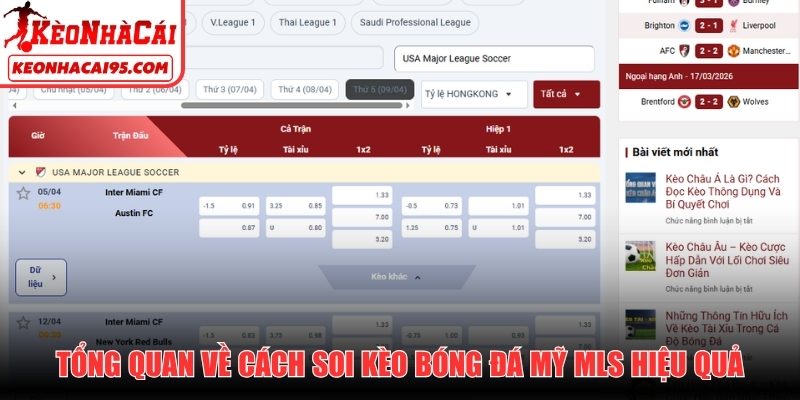 Tổng quan về cách soi kèo bóng đá Mỹ MLS hiệu quả
