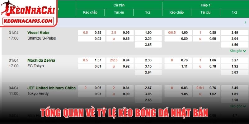 Tổng quan về tỷ lệ kèo bóng đá Nhật Bản