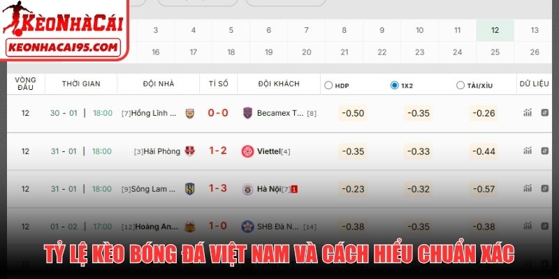 Tỷ lệ kèo bóng đá Việt Nam và cách hiểu chuẩn xác