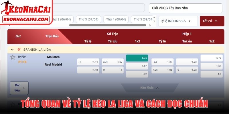 Tổng quan về tỷ lệ kèo La Liga và cách đọc chuẩn